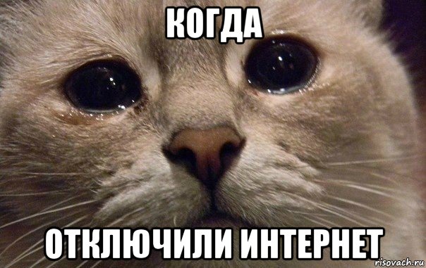 когда отключили интернет, Мем   В мире грустит один котик