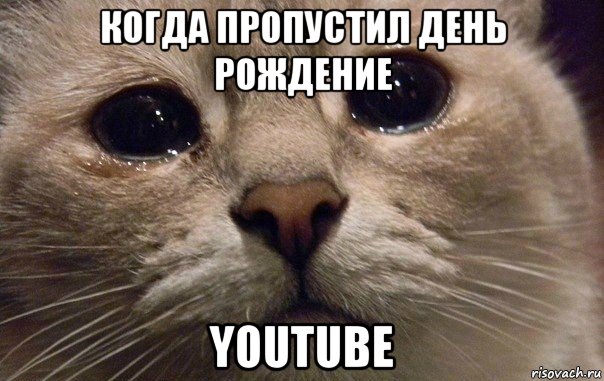 когда пропустил день рождение youtube, Мем   В мире грустит один котик