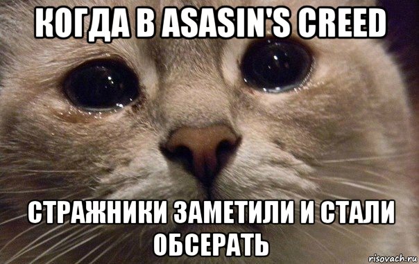 когда в asasin's creed стражники заметили и стали обсерать, Мем   В мире грустит один котик