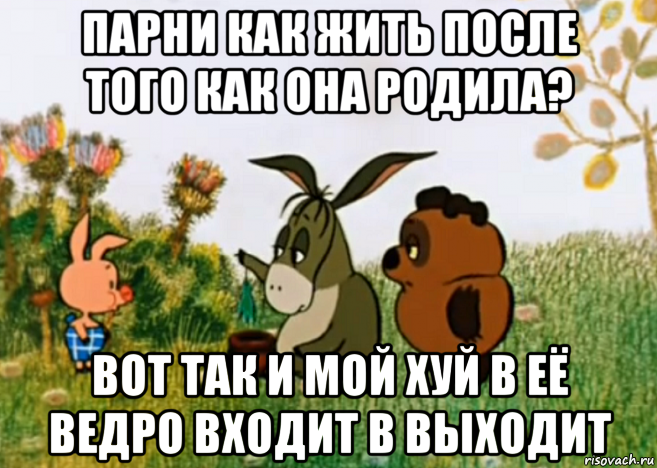 парни как жить после того как она родила? вот так и мой хуй в её ведро входит в выходит, Мем Винни Пух Пятачок и Иа