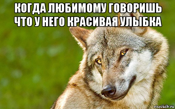 когда любимому говоришь что у него красивая улыбка , Мем   Volf