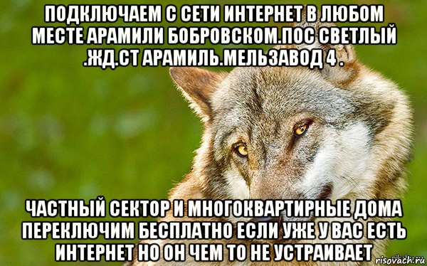 подключаем с сети интернет в любом месте арамили бобровском.пос светлый .жд.ст арамиль.мельзавод 4 . частный сектор и многоквартирные дома переключим бесплатно если уже у вас есть интернет но он чем то не устраивает, Мем   Volf