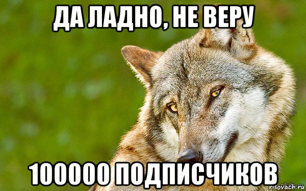 да ладно, не веру 100000 подписчиков, Мем   Volf