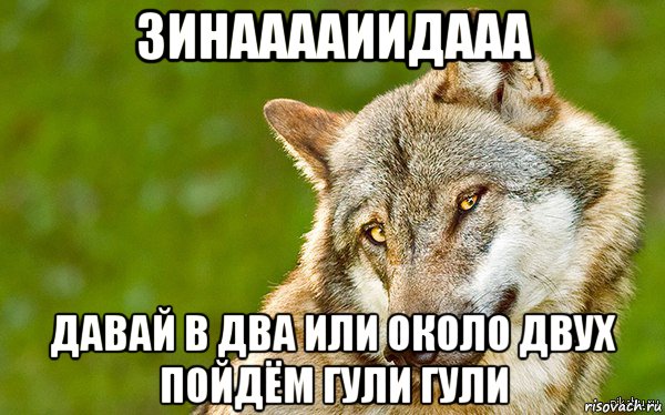 зинааааиидааа давай в два или около двух пойдём гули гули, Мем   Volf