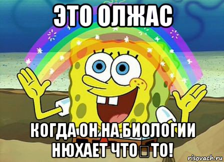 это олжас когда он на биологии нюхает что－то!, Мем Воображение (Спанч Боб)