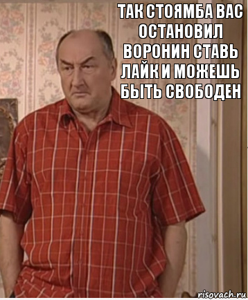 так стоямба вас остановил воронин ставь лайк и можешь быть свободен, Комикс Николай Петрович Воронин