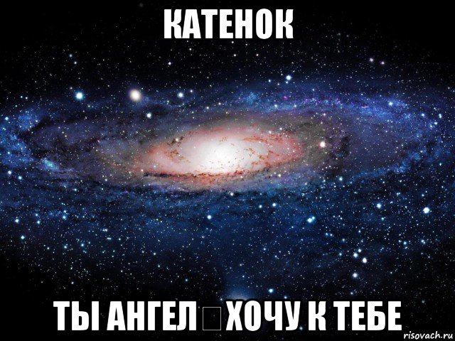 катенок ты ангел❤хочу к тебе