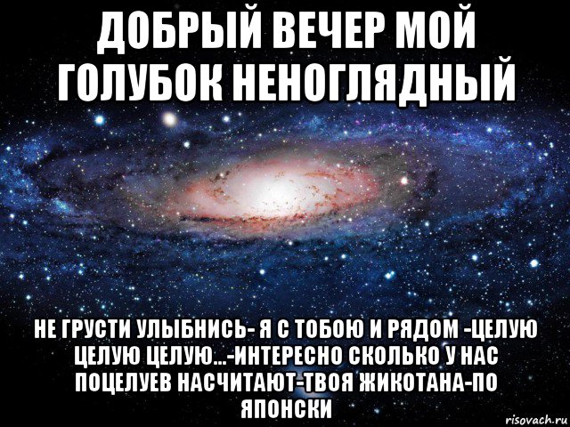 добрый вечер мой голубок неноглядный не грусти улыбнись- я с тобою и рядом -целую целую целую...-интересно сколько у нас поцелуев насчитают-твоя жикотана-по японски