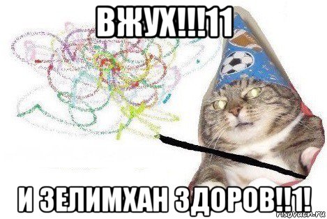 вжух!!!11 и зелимхан здоров!!1!, Мем Вжух мем