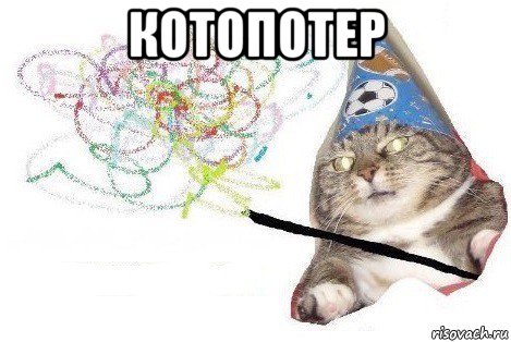 котопотер , Мем Вжух мем