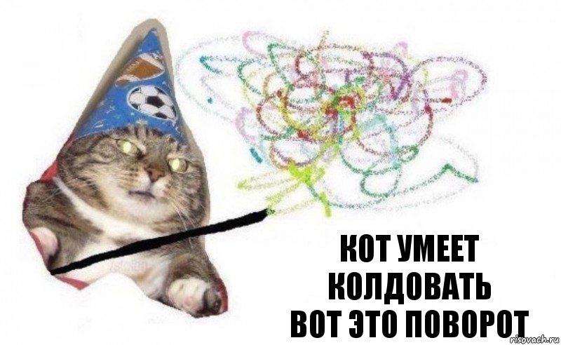 Кот умеет колдовать
ВОТ ЭТО ПОВОРОТ