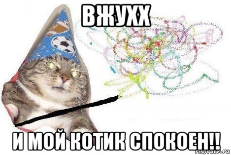 вжухх и мой котик спокоен!!, Мем Вжух