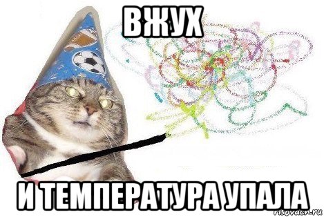 вжух и температура упала, Мем Вжух