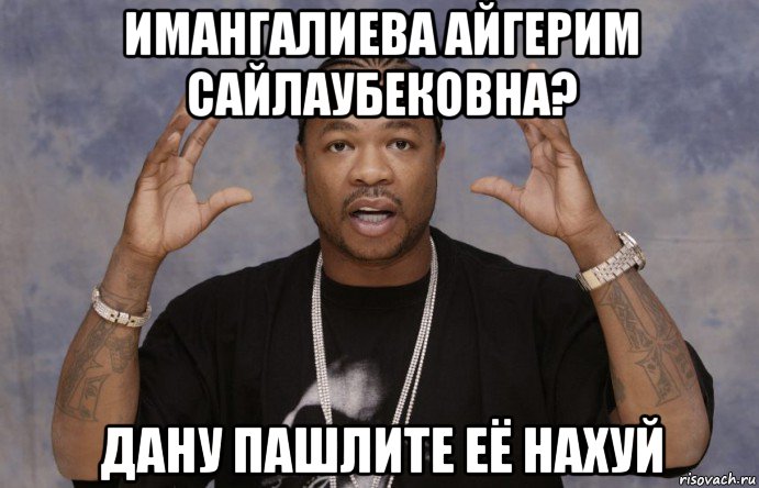 имангалиева айгерим сайлаубековна? дану пашлите её нахуй, Мем Xzibit