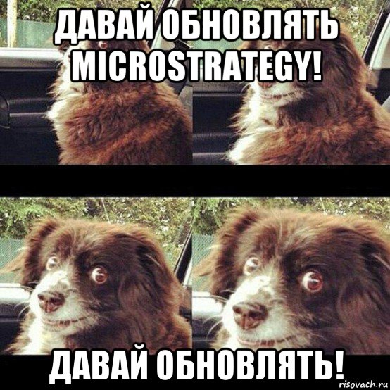 давай обновлять microstrategy! давай обновлять!