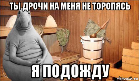 ты дрочи на меня не торопясь я подожду