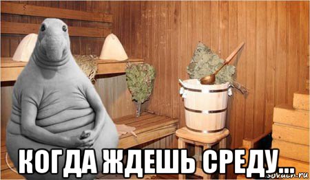  когда ждешь среду..., Мем  Ждун в бане