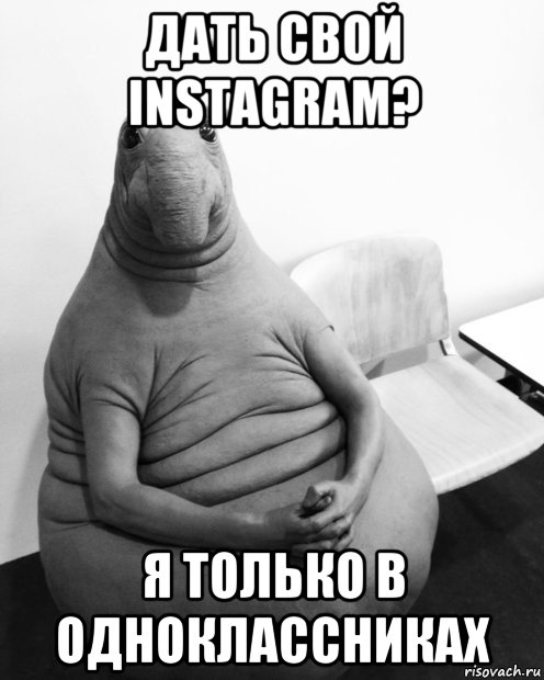 дать свой instagram? я только в одноклассниках, Мем  Ждун