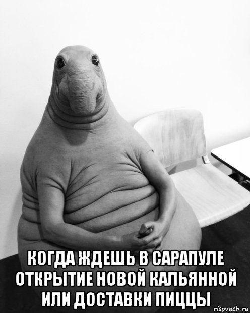  когда ждешь в сарапуле открытие новой кальянной или доставки пиццы, Мем  Ждун