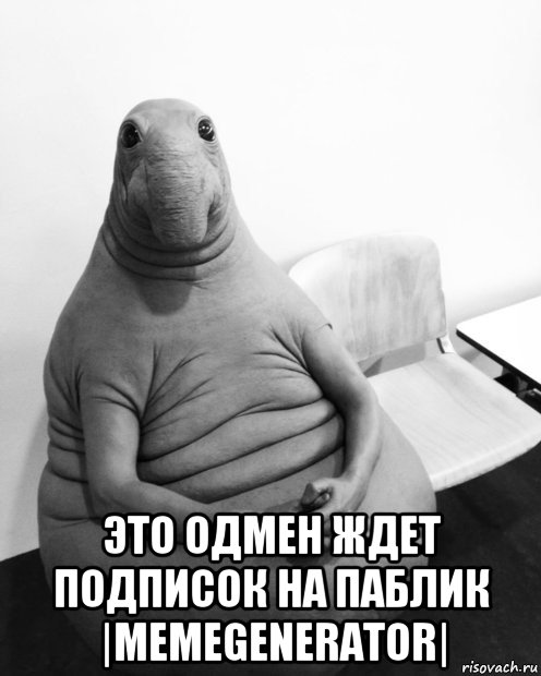  это одмен ждет подписок на паблик |memegenerator|, Мем  Ждун