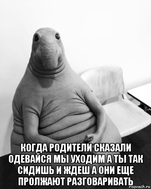  когда родители сказали одевайся мы уходим а ты так сидишь и ждеш а они еще пролжают разговаривать, Мем  Ждун