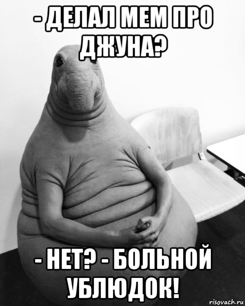 - делал мем про джуна? - нет? - больной ублюдок!, Мем  Ждун