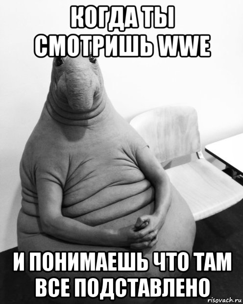 когда ты смотришь wwe и понимаешь что там все подставлено, Мем  Ждун