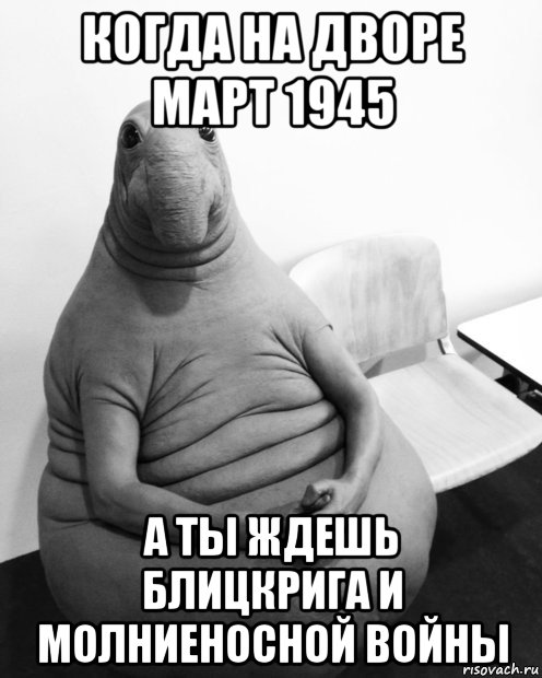 когда на дворе март 1945 а ты ждешь блицкрига и молниеносной войны, Мем  Ждун