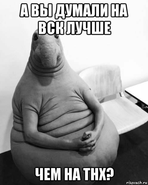 а вы думали на вск лучше чем на тнх?, Мем  Ждун