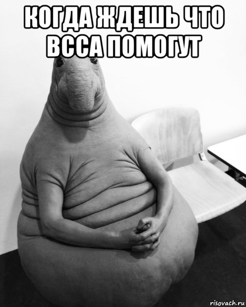 когда ждешь что bcca помогут , Мем  Ждун