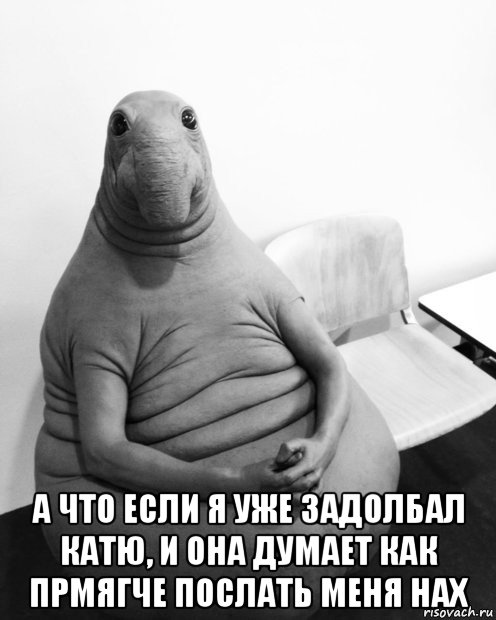  а что если я уже задолбал катю, и она думает как прмягче послать меня нах, Мем  Ждун