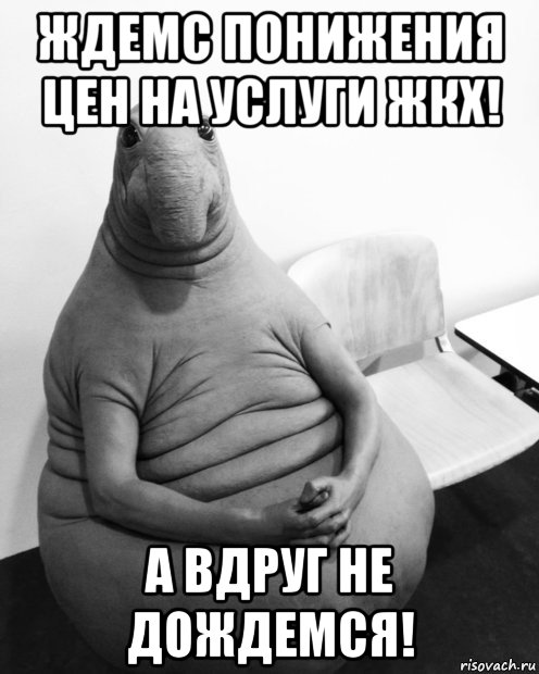 ждемс понижения цен на услуги жкх! а вдруг не дождемся!, Мем  Ждун