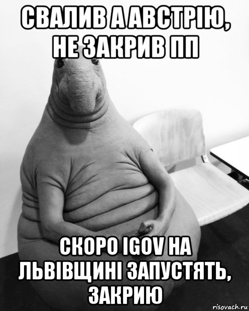 свалив а австрію, не закрив пп скоро igov на львівщині запустять, закрию, Мем  Ждун