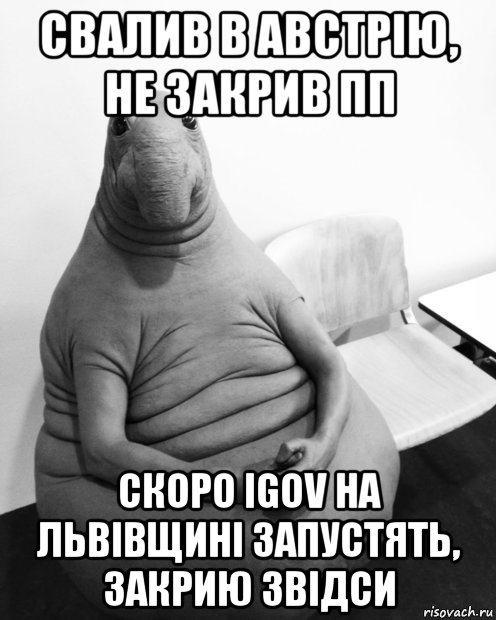 свалив в австрію, не закрив пп скоро igov на львівщині запустять, закрию звідси, Мем  Ждун