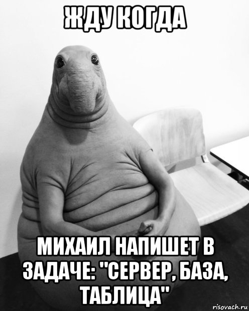 жду когда михаил напишет в задаче: "сервер, база, таблица", Мем  Ждун