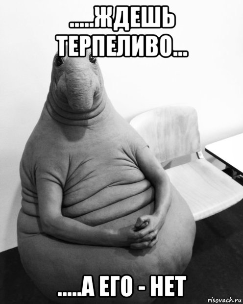 .....ждешь терпеливо... .....а его - нет, Мем  Ждун