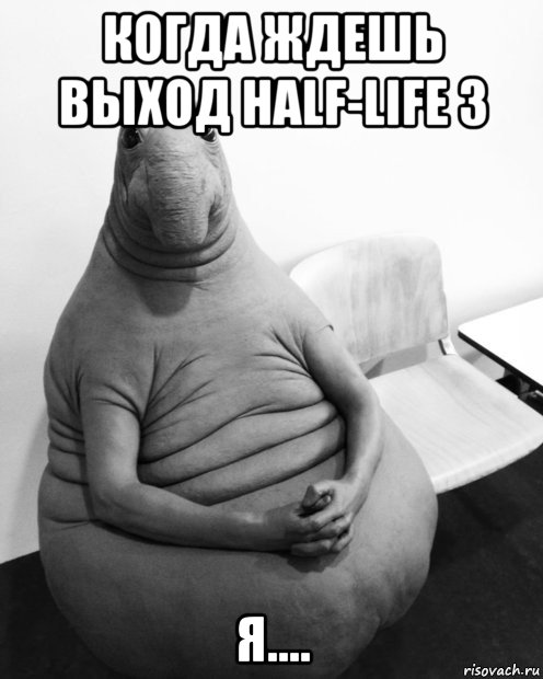 когда ждешь выход half-life 3 я...., Мем  Ждун