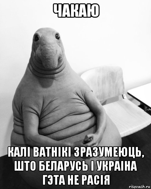 чакаю калі ватнікі зразумеюць, што беларусь і украіна гэта не расія, Мем  Ждун