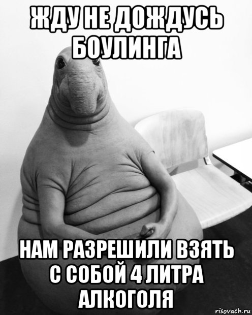 жду не дождусь боулинга нам разрешили взять с собой 4 литра алкоголя, Мем  Ждун