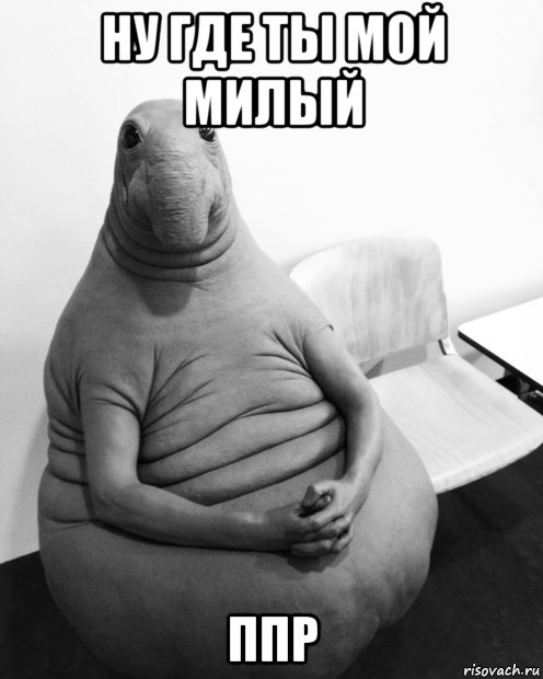 ну где ты мой милый ппр, Мем  Ждун