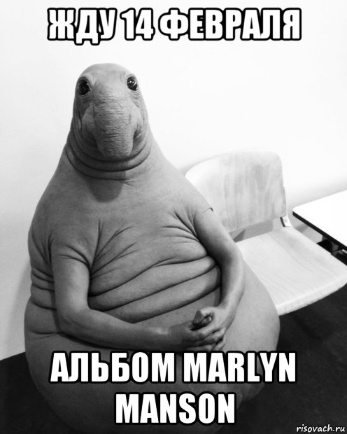 жду 14 февраля альбом marlyn manson, Мем  Ждун