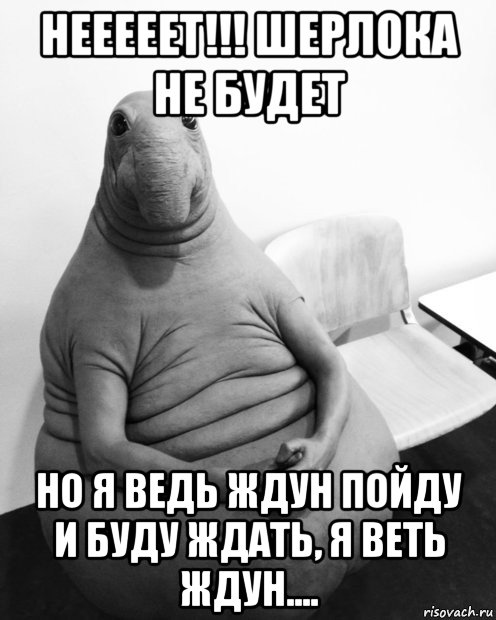 нееееет!!! шерлока не будет но я ведь ждун пойду и буду ждать, я веть ждун...., Мем  Ждун