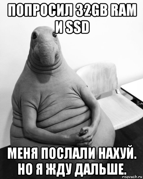 попросил 32gb ram и ssd меня послали нахуй. но я жду дальше., Мем  Ждун