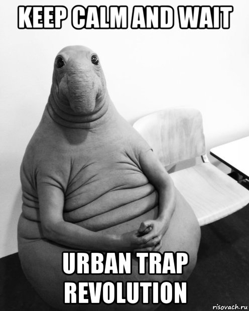 keep calm and wait urban trap revolution, Мем  Ждун