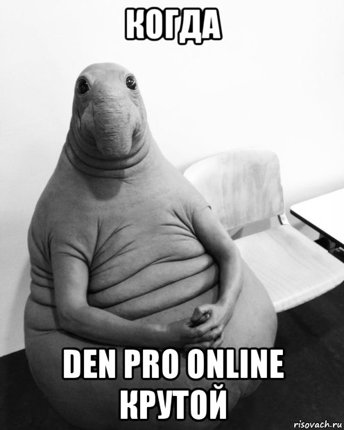 когда den pro online крутой, Мем  Ждун