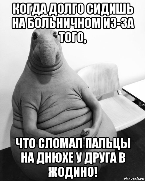 когда долго сидишь на больничном из-за того, что сломал пальцы на днюхе у друга в жодино!, Мем  Ждун