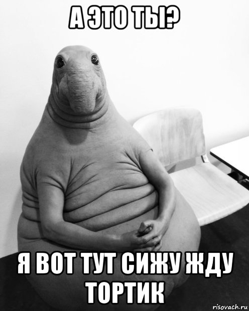 а это ты? я вот тут сижу жду тортик, Мем  Ждун