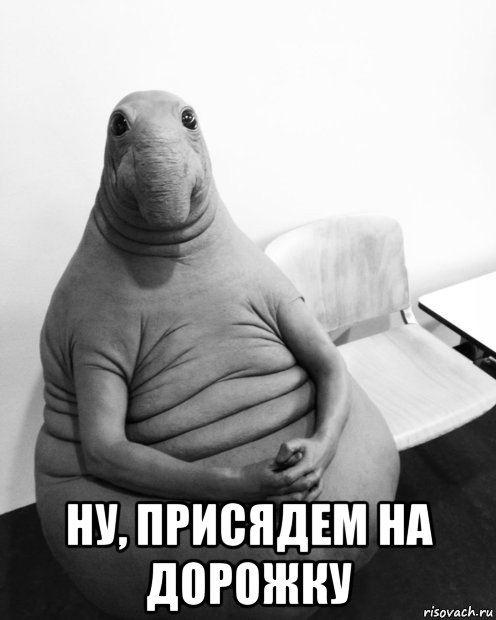  ну, присядем на дорожку, Мем  Ждун