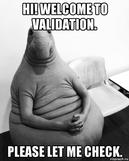 hi! welcome to validation. please let me check., Мем  Ждун