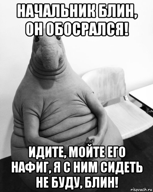 начальник блин, он обосрался! идите, мойте его нафиг, я с ним сидеть не буду, блин!, Мем  Ждун